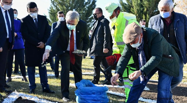 "Sevgi Çiçeği" Başkentte koruma altında yetişecek 