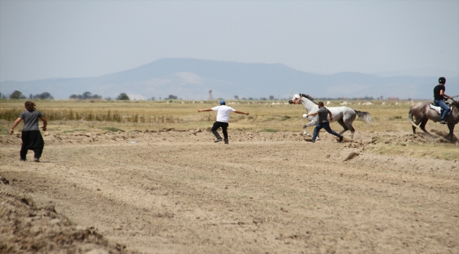 Konya'da 22. Rahvan At Yarışları gerçekleştirildi