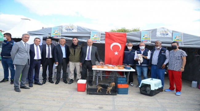 Kırşehir'de hayvanları koruma bilinci oluşturmak için meydanda çadır kuruldu